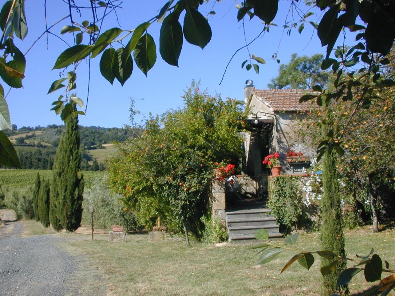 Piccolo Sole Montescudaio Exterior foto