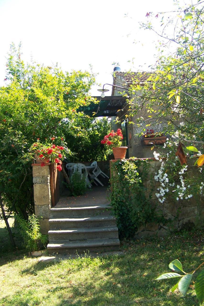 Piccolo Sole Montescudaio Exterior foto